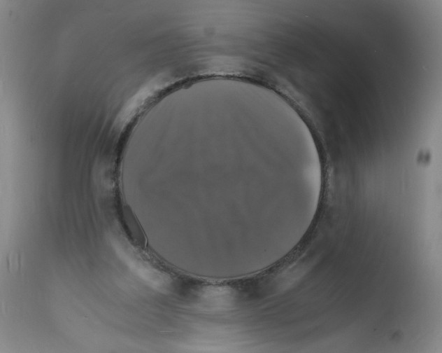 X0000112150203200909181431