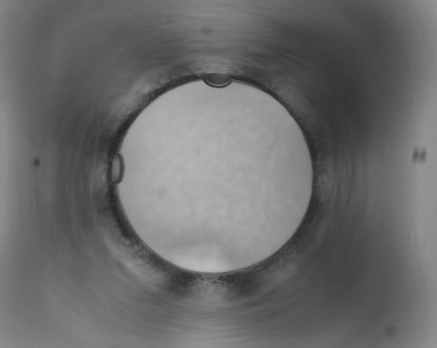 X0000112150207200909181431