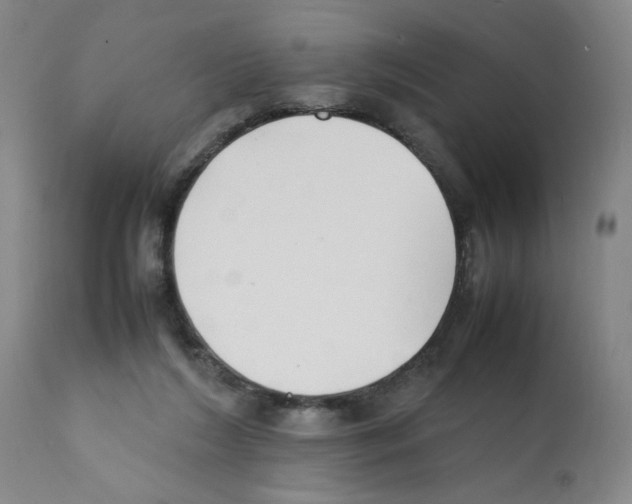 X0000112150212200909181431