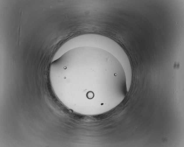 X0000112150215200909181431