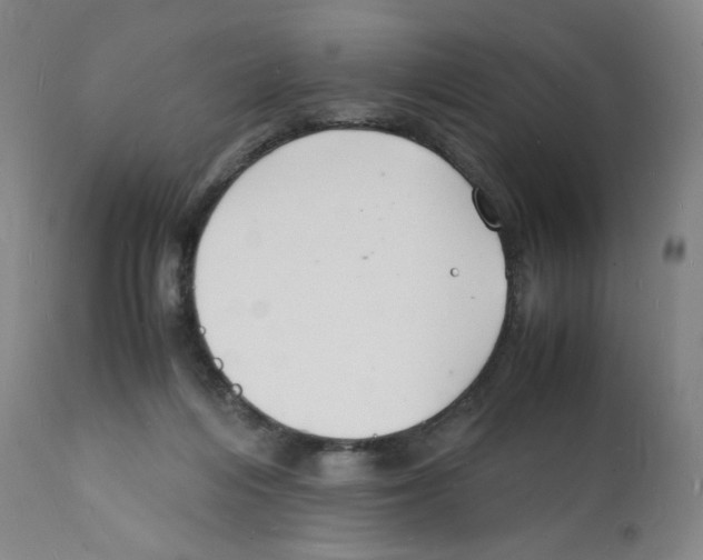 X0000112150216200909181431