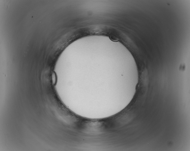 X0000112150217200909181431