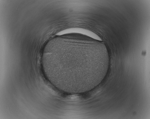 X0000112150219200909181431