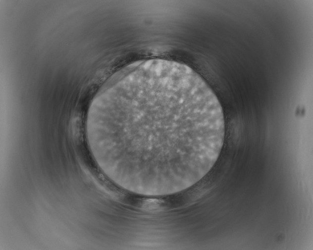 X0000112150222200909181431