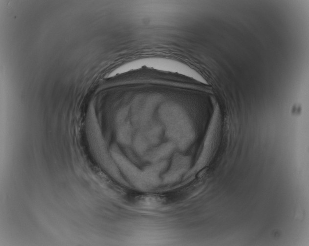 X0000112150223200909181431