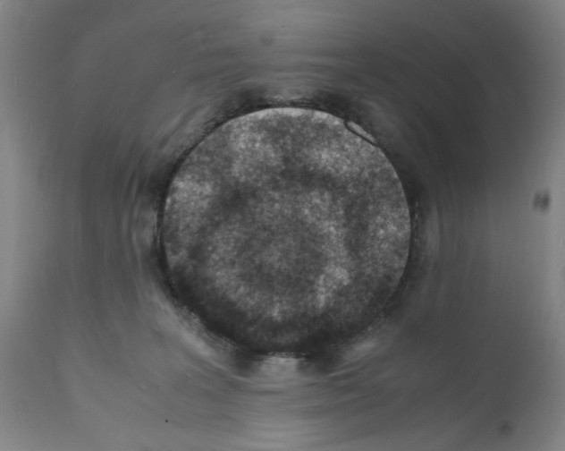 X0000112150227200909181431