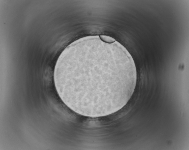 X0000112150228200909181431