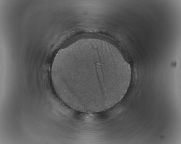 X0000112150229200909181431