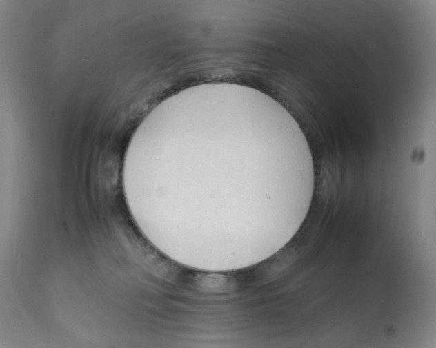X0000112150230200909181431