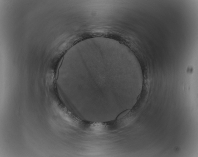 X0000112150231200909181431