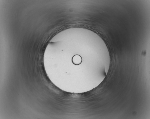 X0000112150233200909181431