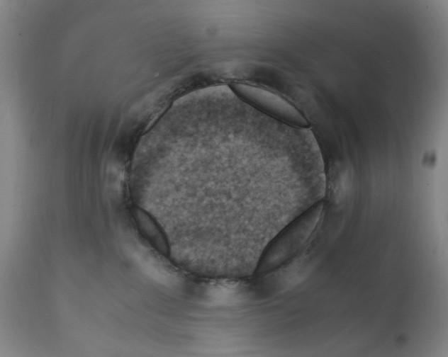X0000112150235200909181431