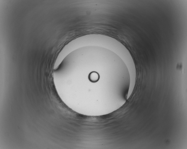 X0000112150237200909181431