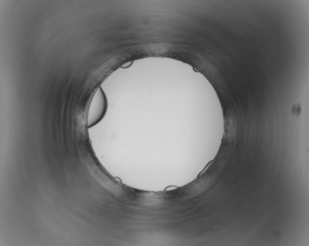 X0000112150238200909181431