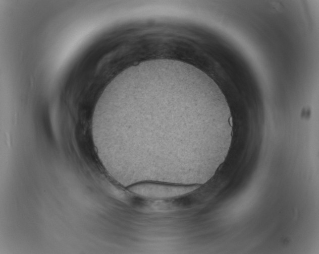 X0000112150239200909181431