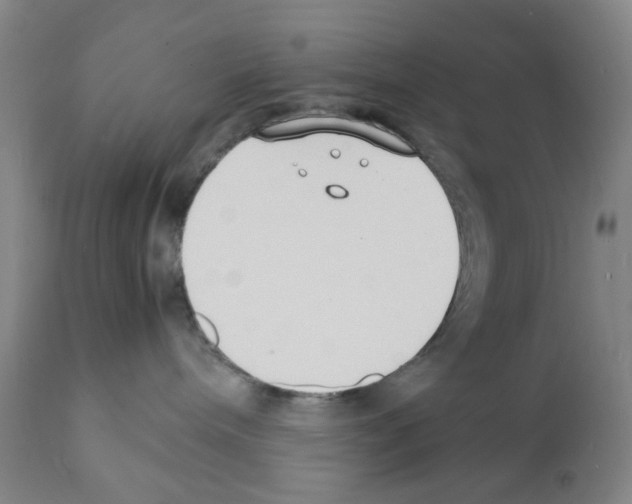 X0000112150240200909181431