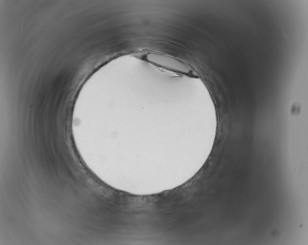 X0000112150241200909181430
