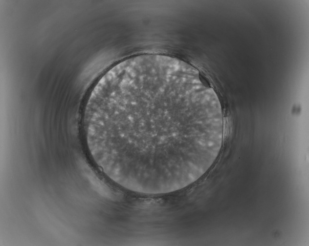X0000112150243200909181430