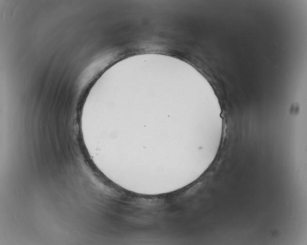 X0000112150245200909181430