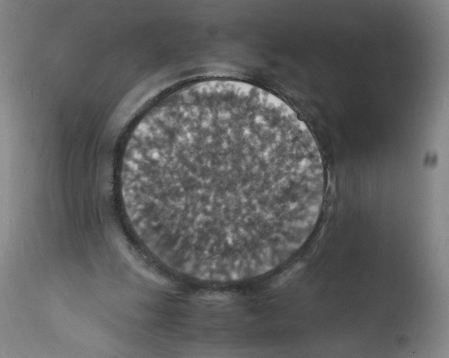 X0000112150247200909181430