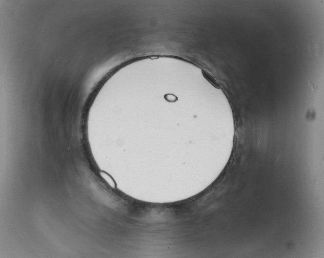 X0000112150248200909181430