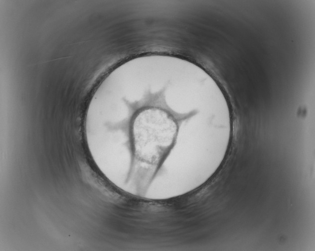 X0000112150249200909181430