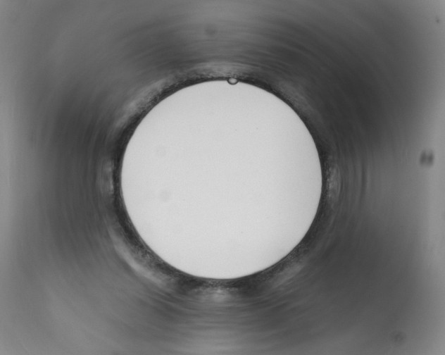X0000112150254200909181430