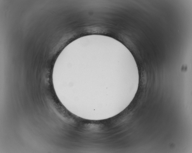 X0000112150255200909181430
