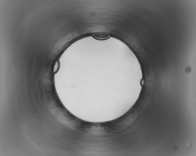 X0000112150256200909181430