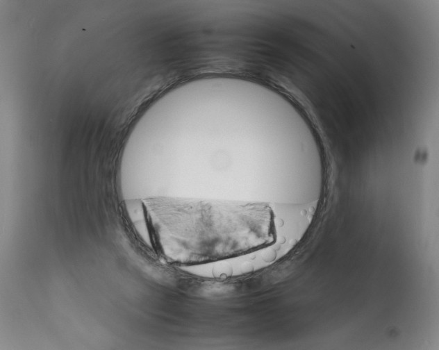 X0000112150257200909181430