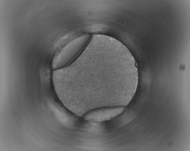X0000112150260200909181430