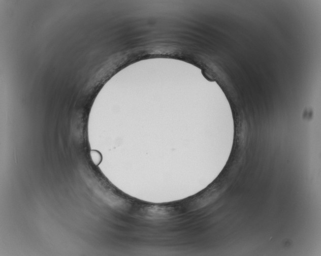 X0000112150261200909181430