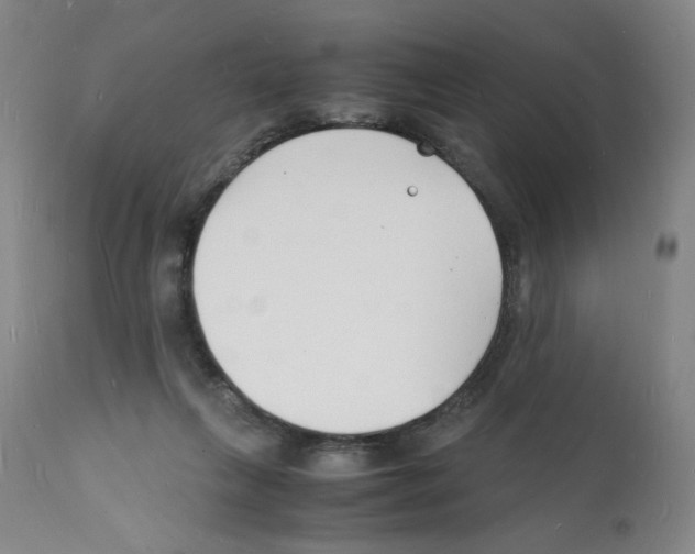 X0000112150263200909181430