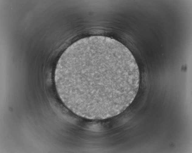 X0000112150267200909181430