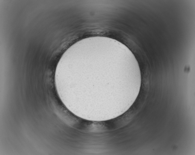 X0000112150270200909181430