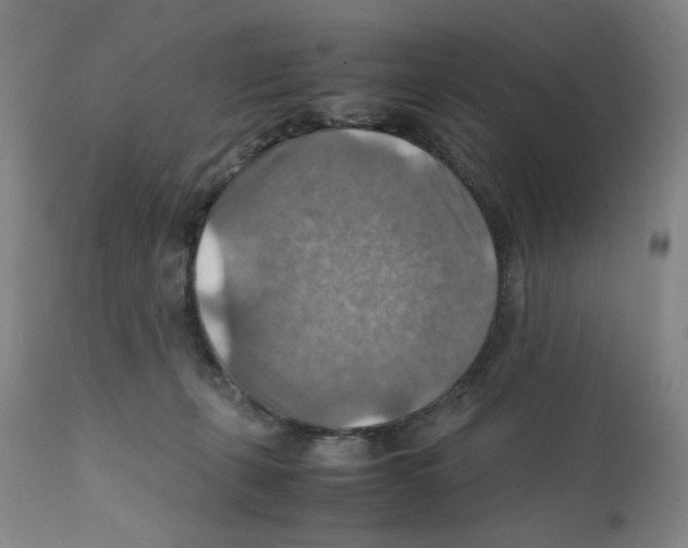 X0000112150271200909181430