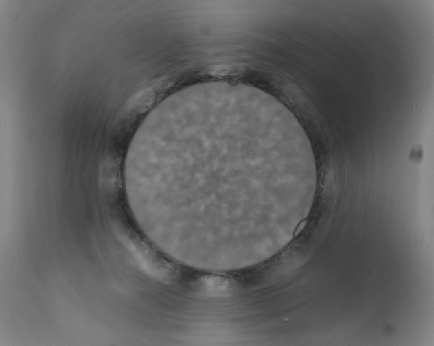 X0000112150272200909181430