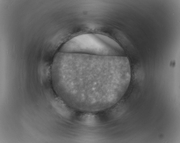 X0000112150276200909181430