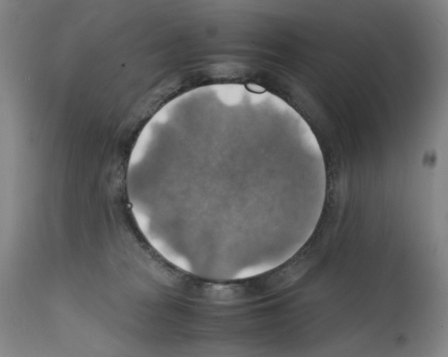 X0000112150277200909181430