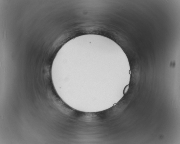 X0000112150278200909181430