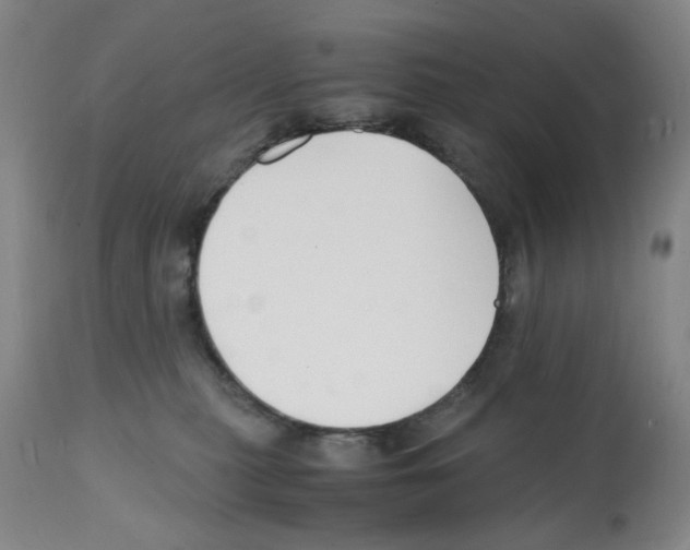X0000112150279200909181430