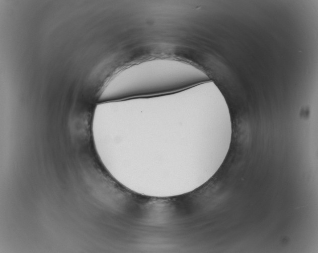 X0000112150280200909181430