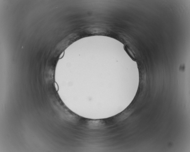 X0000112150281200909181430