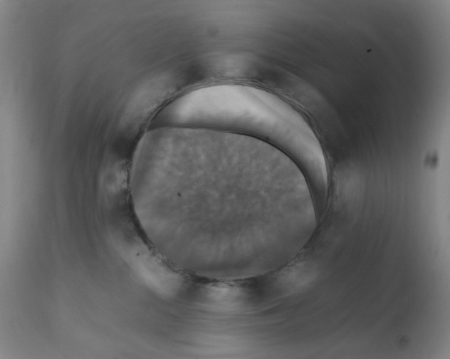 X0000112150284200909181430