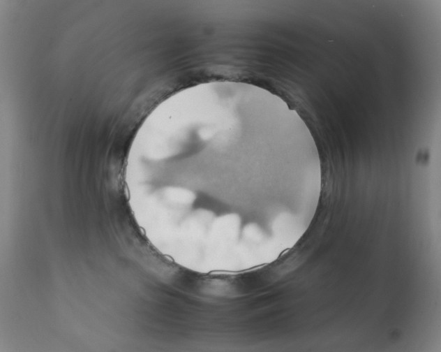X0000112150285200909181430