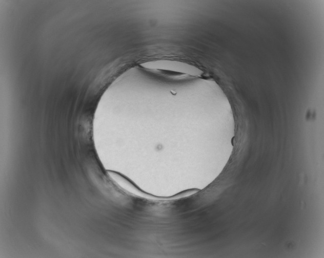 X0000112150288200909181431