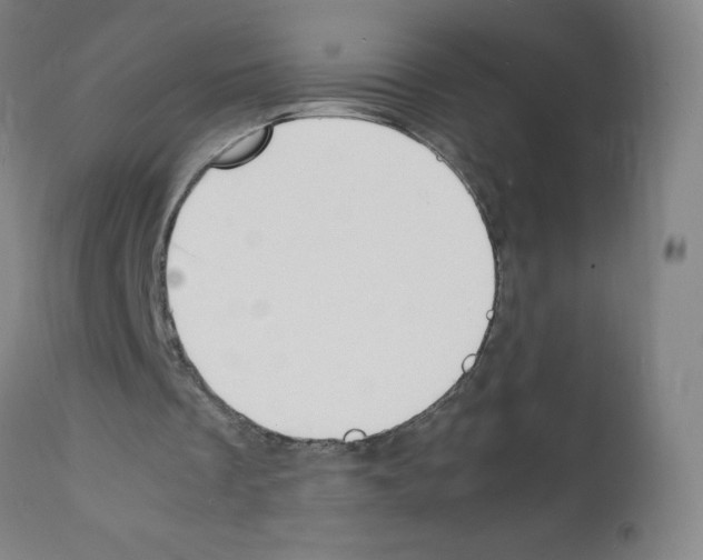 X0000112150289200909181430