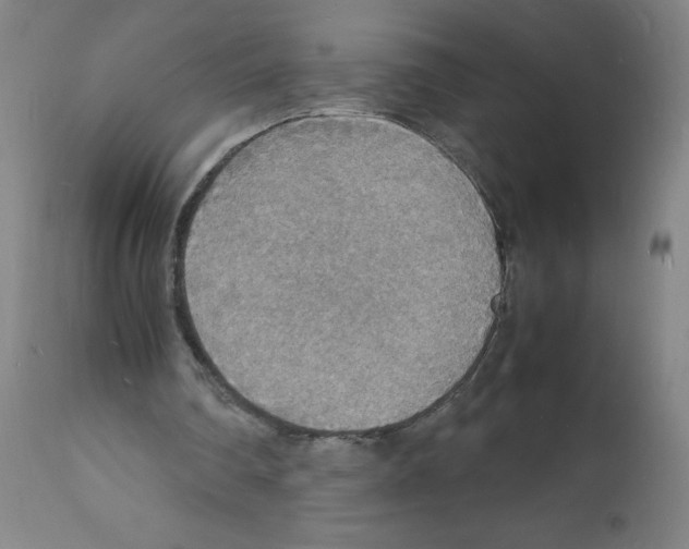 X0000112150290200909181430