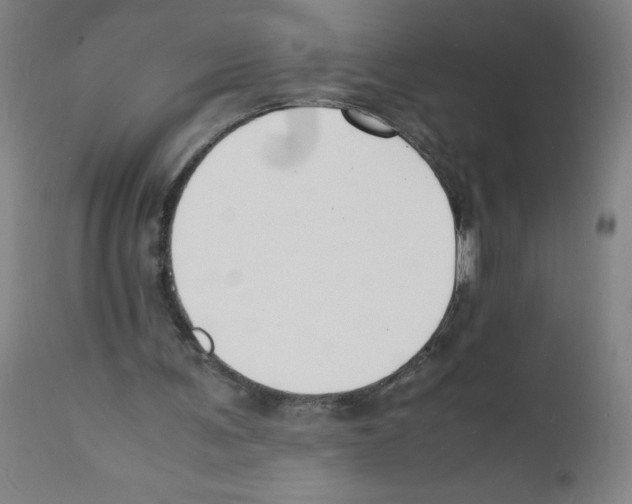 X0000112150291200909181430