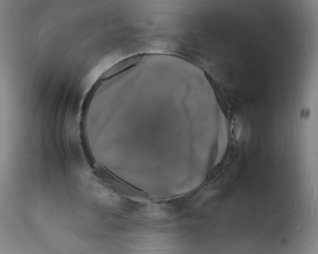 X0000112150292200909181430